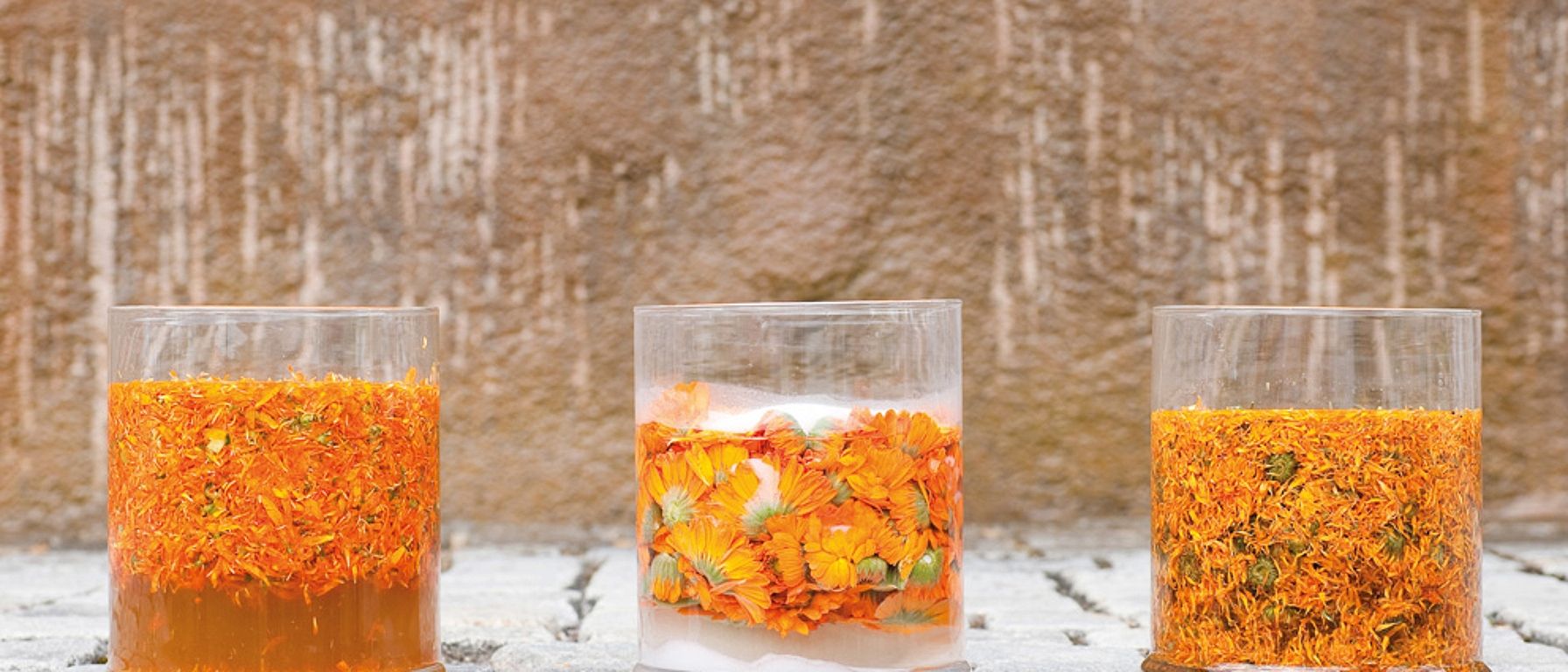 Kwiaty nagietka w okularach