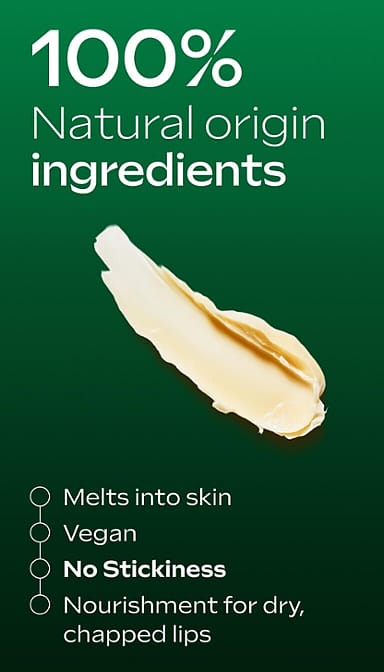 Skin Food sztyft do ust