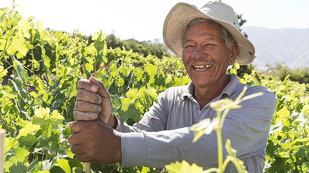 man in field